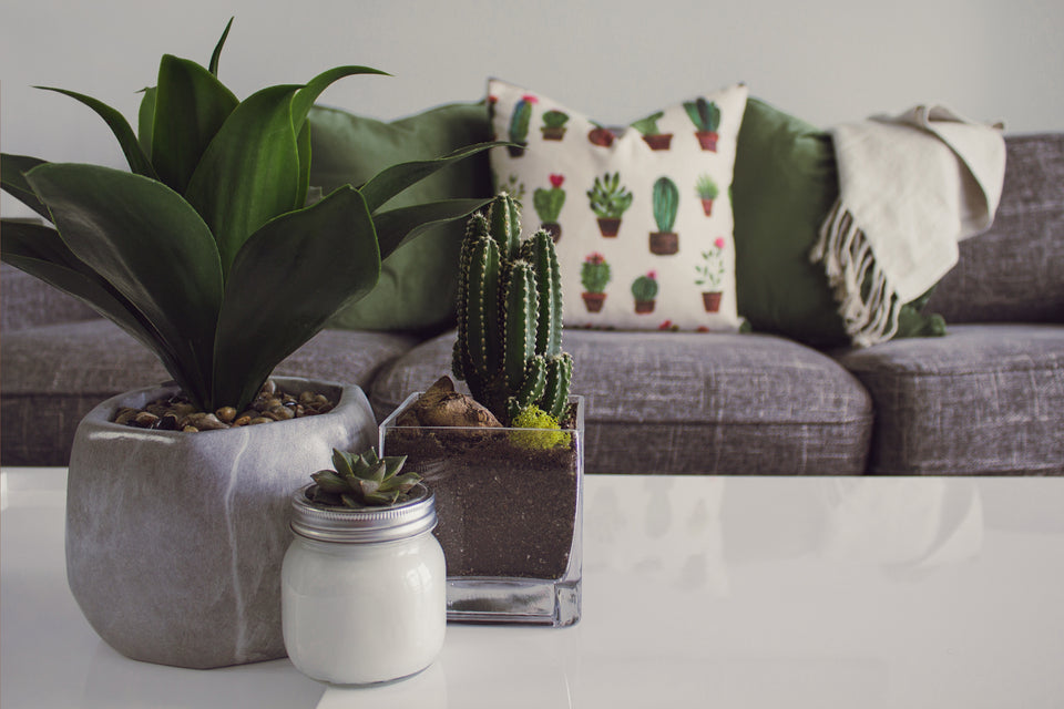 5 Ways to Update Your Space for the New Year