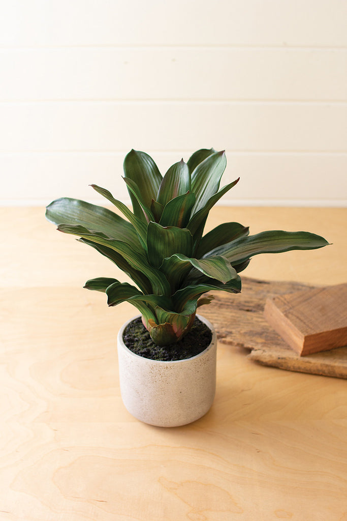 16" Artificial Succulent Plant In A Pot - Hearts Attic 