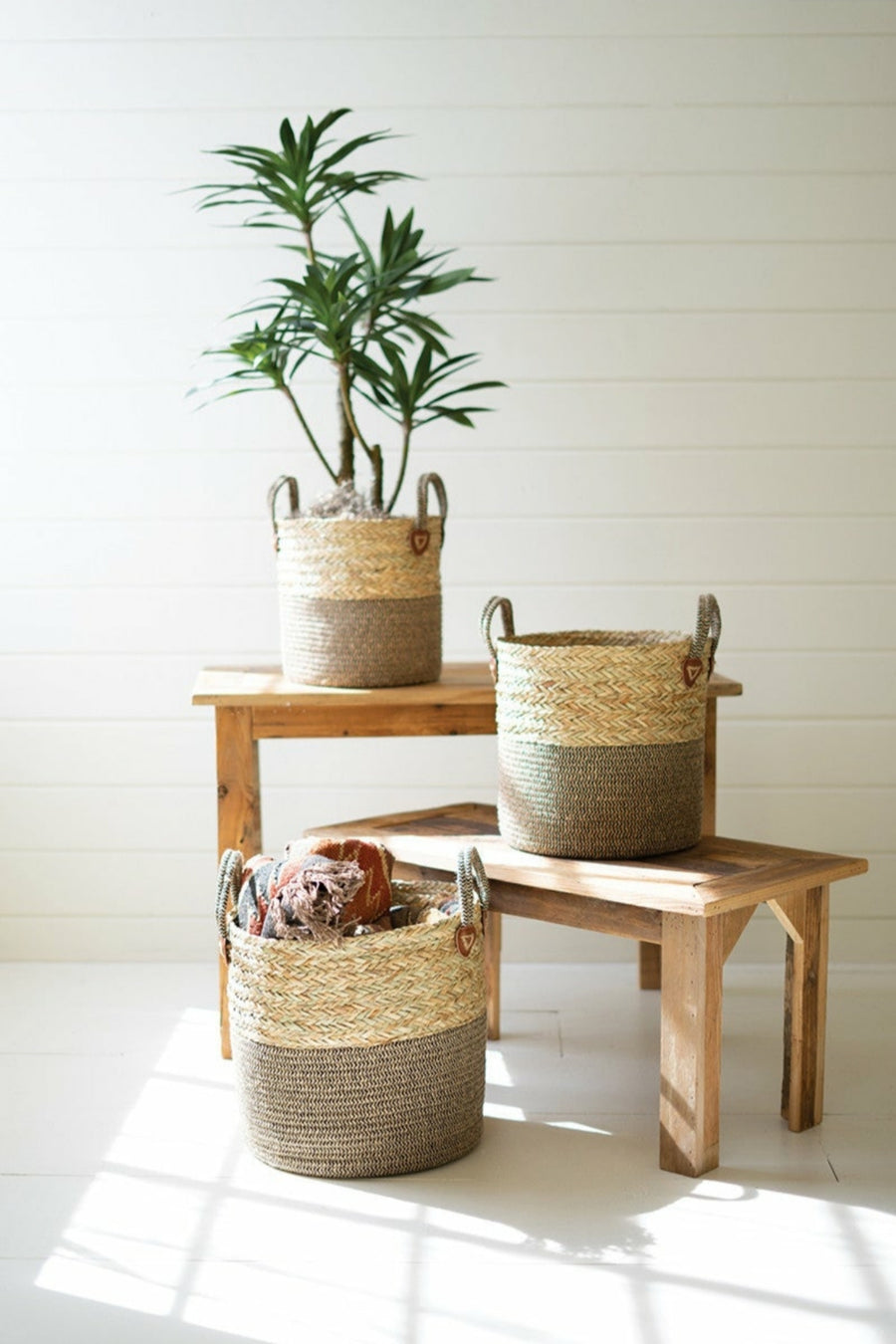 Baskets, Boxes, Bins & Buckets