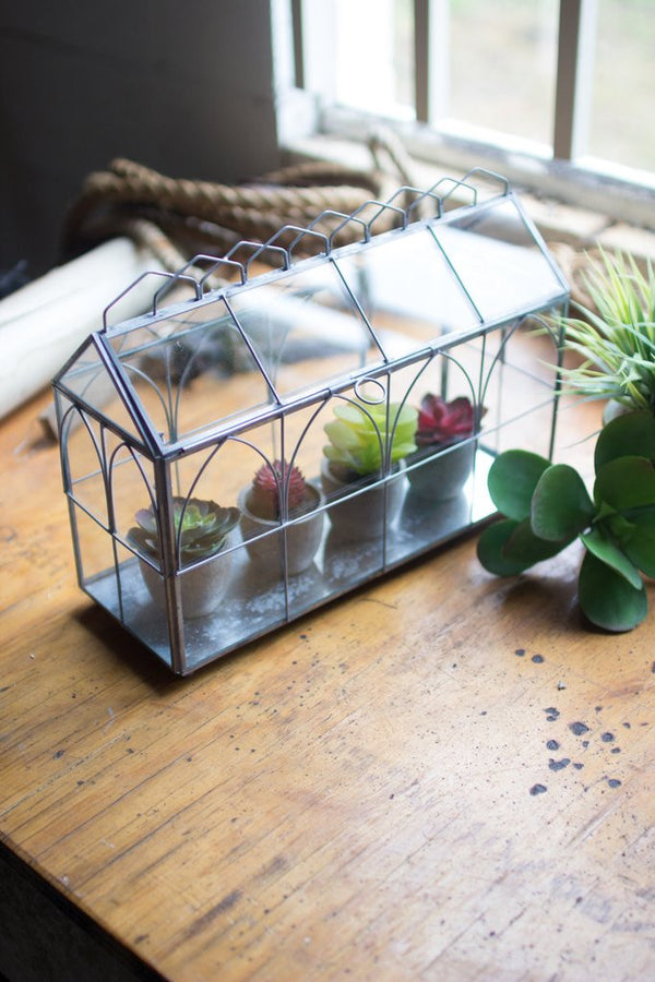 Cloches & Terrariums