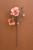Set of 6 Botanica #2889 – image 1