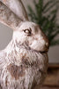 Faux Concrete Rabbit – image 2