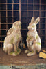 FAUX CONCRETE RABBIT - HEAD UP — Kalalou CHE1470