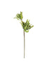 Set of 6 Botanica #2654 – image 4