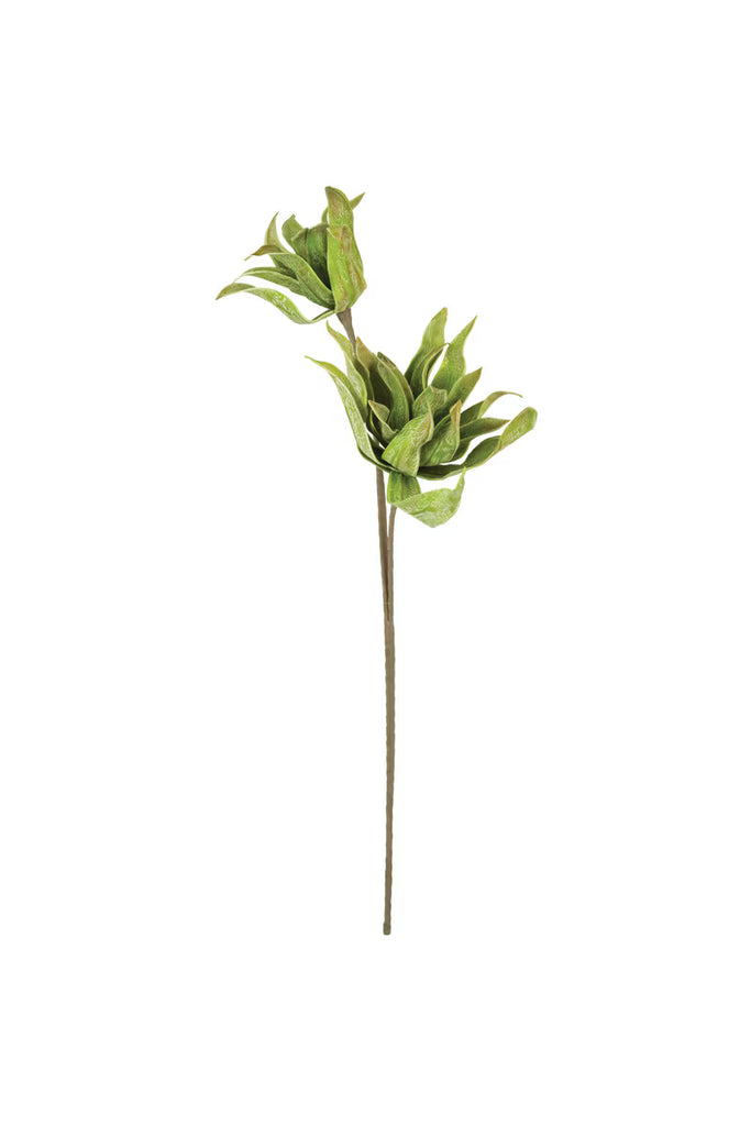 Set of 6 Botanica #2654 – image 4