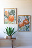 SET OF TWO FRAMED PRINTS UNDER GLASS - PROTEA — Kalalou CHH1480