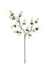 Set of 6 Botanica #2716 – image 4