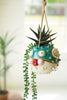 CERAMIC HANGING BLOWFISH PLANTER (MIN 2) — Kalalou CDV2246K
