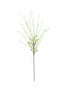 Set of 6 Botanica #3366 – image 4