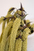Set of 6 Botanica #9029 – image 4