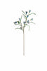 Set of 6 Botanica #3384 – image 3