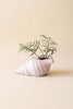 Terracotta Conch Shell Planter - White Glaze - view 4