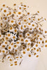 Set of 6 Chamomile Bundle (6 Stems) - White – image 3