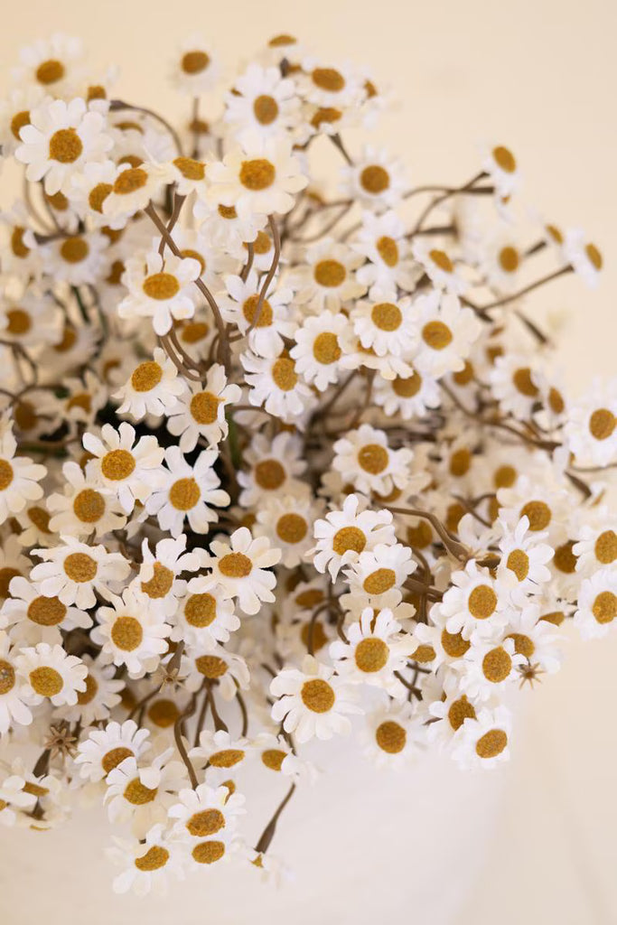 Set of 6 Chamomile Bundle (6 Stems) - White – image 3