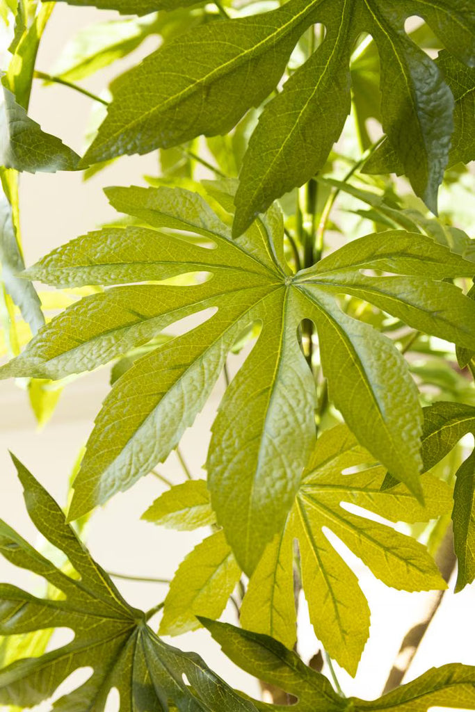Artificial 4' Japanese Aralia in Plastic Pot – image 2