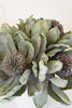 Set of 6 Botanica #3689 – image 4