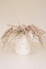 Set of 6 Botanica #2502 – image 2