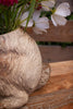 Faux Concrete Rabbit Planter – image 5