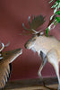 Rustic Metal Moose – image 2