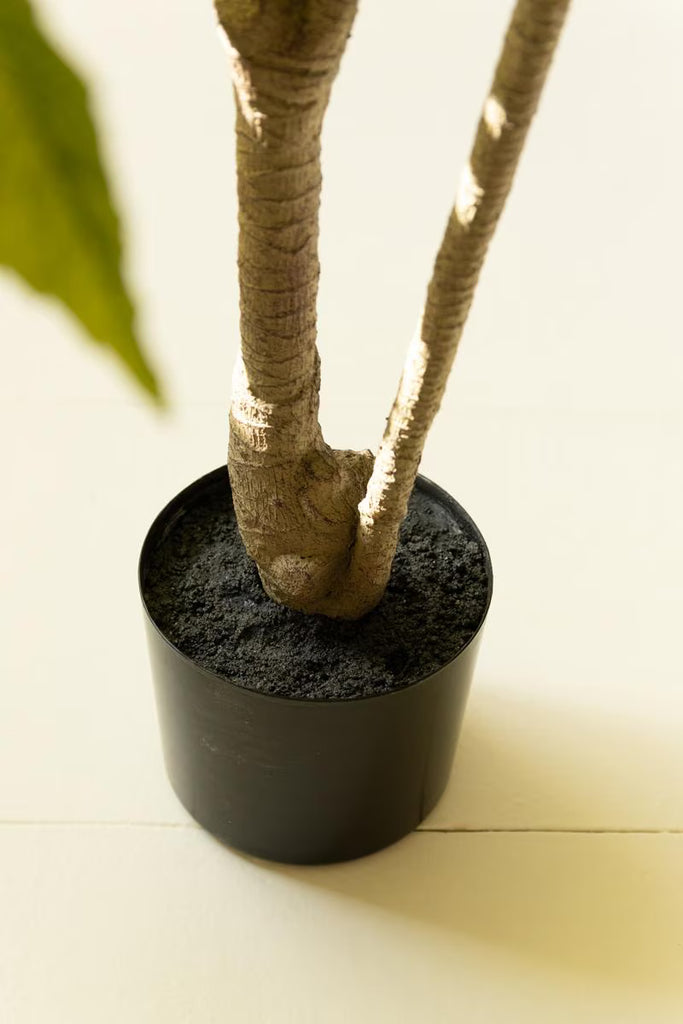 Artificial 4' Japanese Aralia in Plastic Pot – image 4