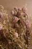 Set of 6 Artificial Pink Melaleuca Spray – image 4