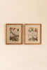 Set of 2 Framed Magnolia Prints Under Glass – image 3