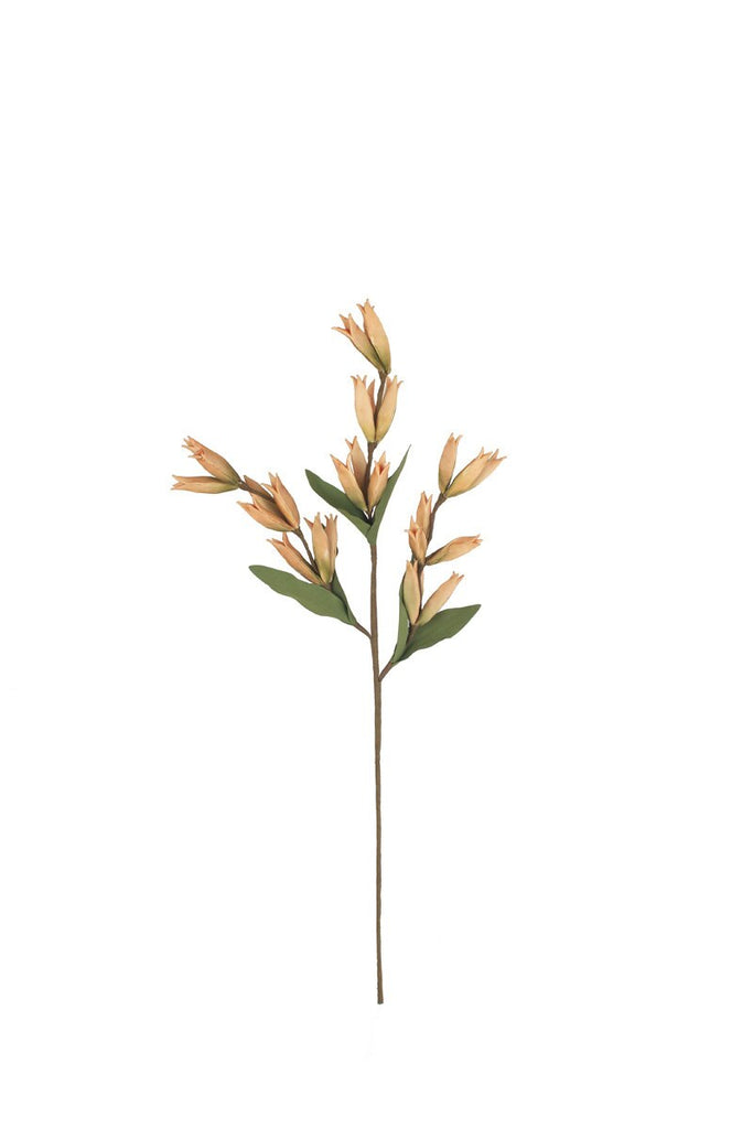Set of 6 Botanica #9039 – image 3