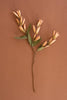 Set of 6 Botanica #9039 – image 4