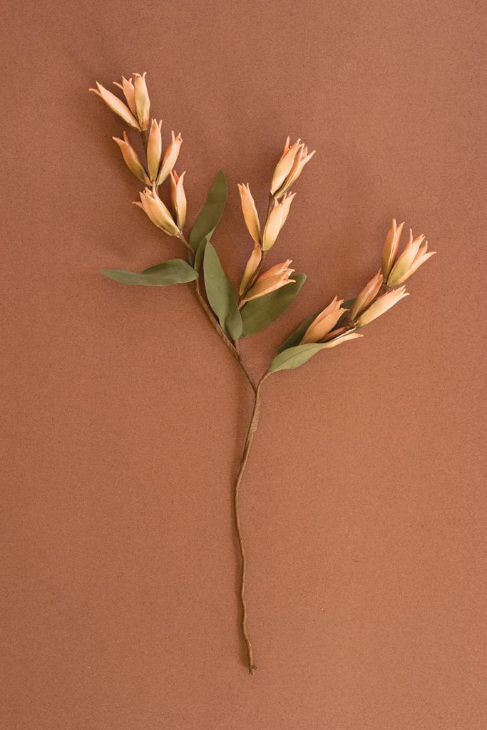 Set of 6 Botanica #9039 – image 4