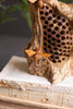 Rustic Table Top Hand Carved Bee Hive - view 2