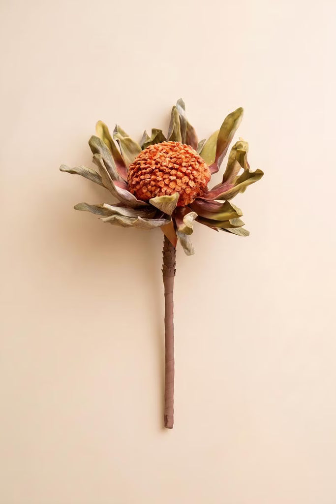 Set of 6 Botanica #2885 – image 3