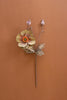 Set of 6 Botanica #2894 – image 1