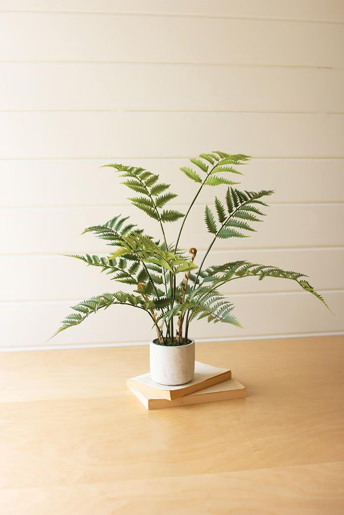 Set of 2 Artificial Fern in a Cement Pot – image 1