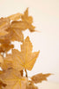 Set of 6 Botanica #9080 – image 4
