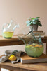 Set of 2 Small Glass Tilted Pitcher (min 2) – image 2