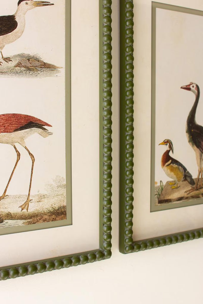 SET OF TWO BIRDS PRINTS UNDER GLASS — Kalalou CHH1534