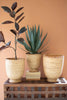 Set of 3 Split Cane Baskets – image 2