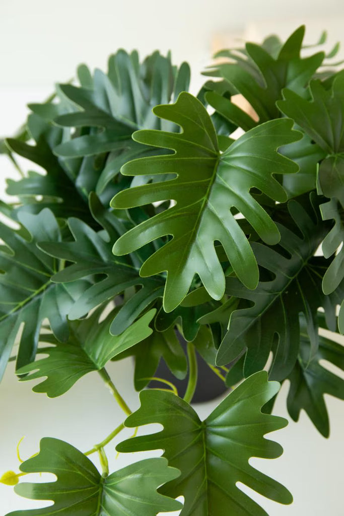 Set of 6 Artificial Mini Philodendron in a Black Plastic Pot – image 4