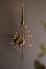 Antique Brass Fruit Tree Taper Wall Sconce - image 1