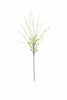 Set of 6 Botanica #3366 – image 1