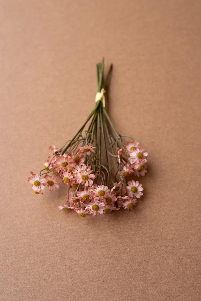 Set of 6 Chamomile Bundle (6 Stems) - Blush – image 2