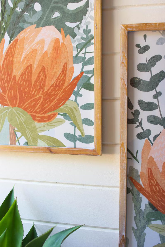 SET OF TWO FRAMED PRINTS UNDER GLASS - PROTEA — Kalalou CHH1480