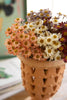 Set of 6 Chamomile Bundle (6 Stems) - Lavender – image 4