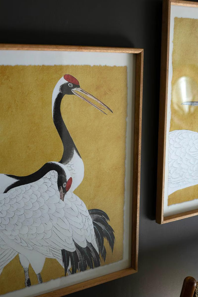 SET 2 FRAMED PRINTS UNDER GLASS -BLACK WHITE AND RED HERONS — Kalalou CHH1487