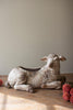 Faux Concrete Sheep Planter – image 6