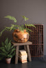 Teakwood Urn – image 5