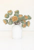 Set of 6 Botanica #3700 – image 2