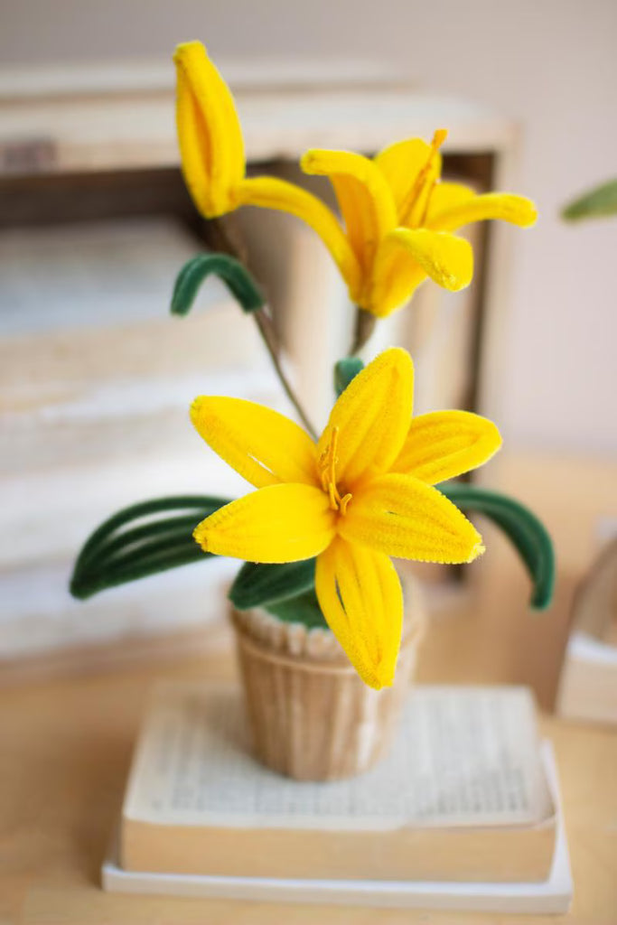 Set of 4 Potted Pipe Cleaner Botanica – image 7