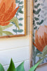 SET OF TWO FRAMED PRINTS UNDER GLASS - PROTEA — Kalalou CHH1480