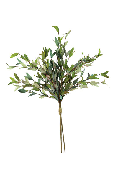 Botanica #2397 - Set Of 6 — Kalalou CSL2397